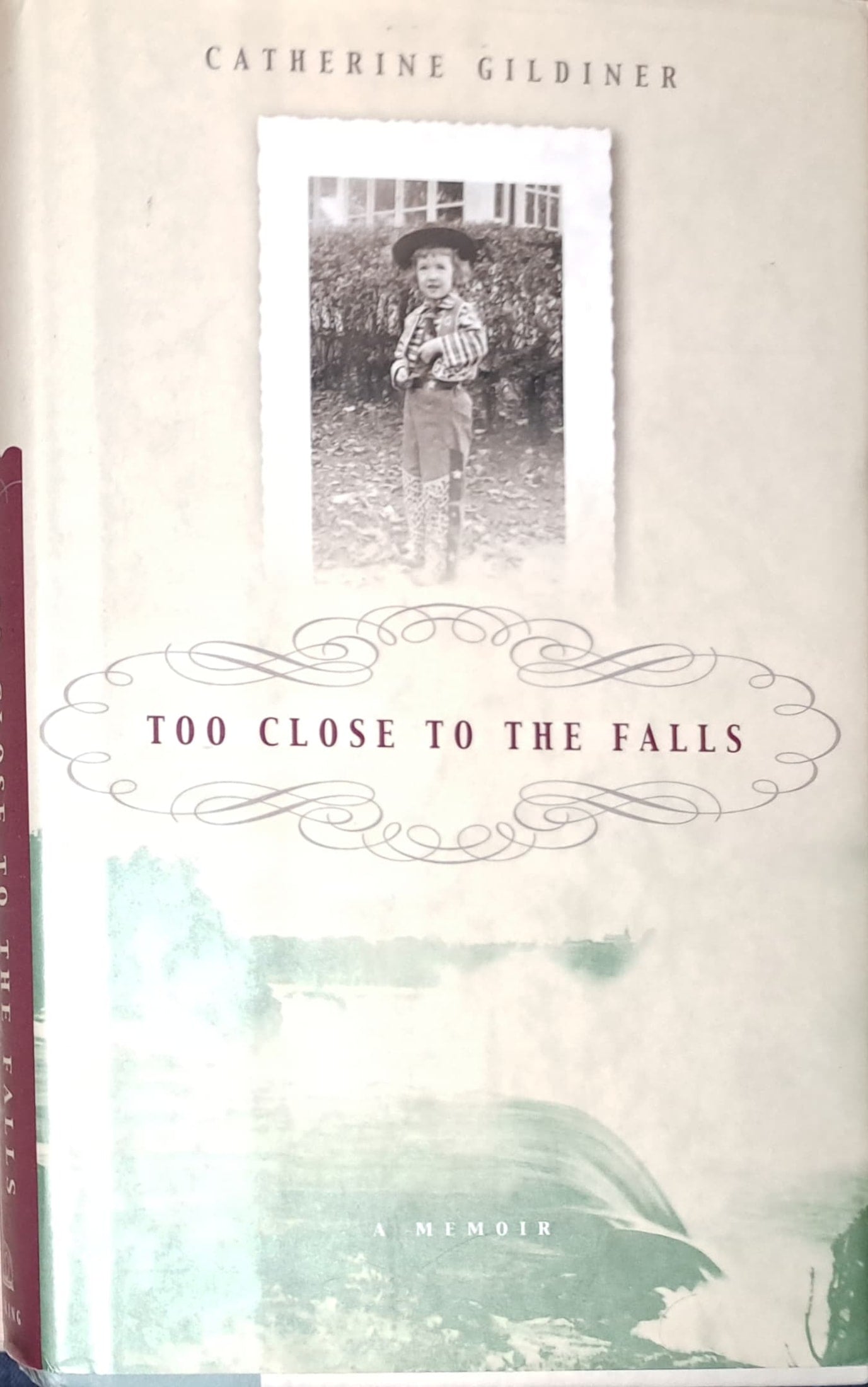 Too Close to the Falls by Catherine Gildiner